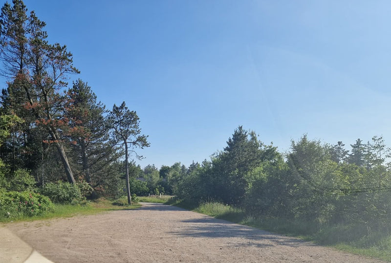 Grusplads og skovvej ved Bunken Klitplantage på Skagens Odde