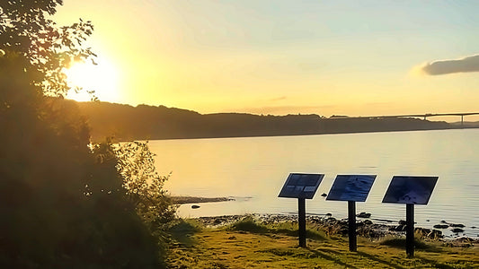 Solnedgang over Vejle Fjord ved teltpladsen i Munkebjerg
