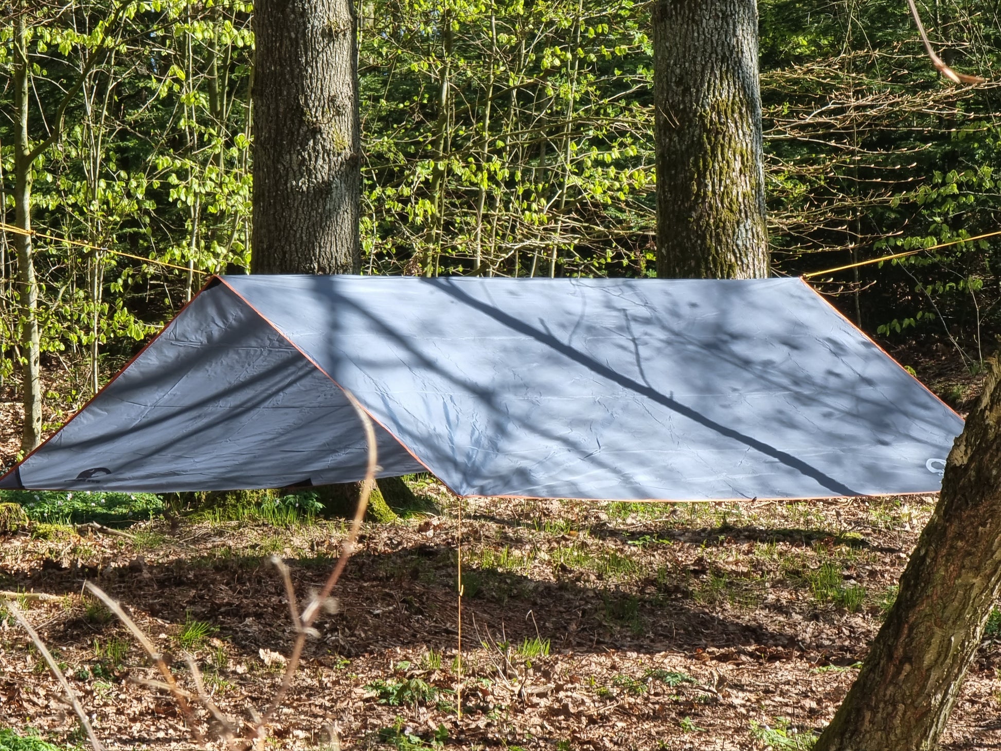 Tarp i skoven