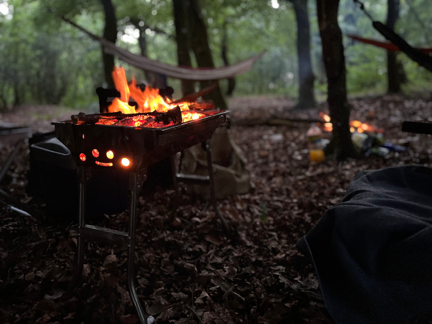 grill in forrest