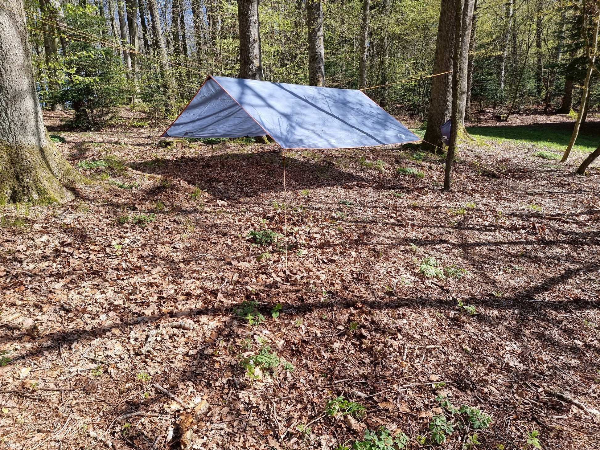 Tarp i træerne