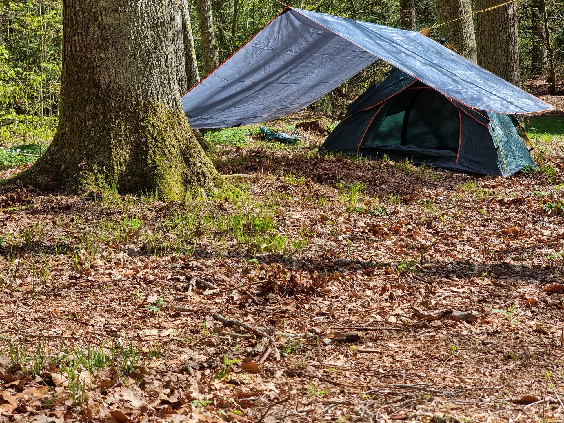 tent and tarp