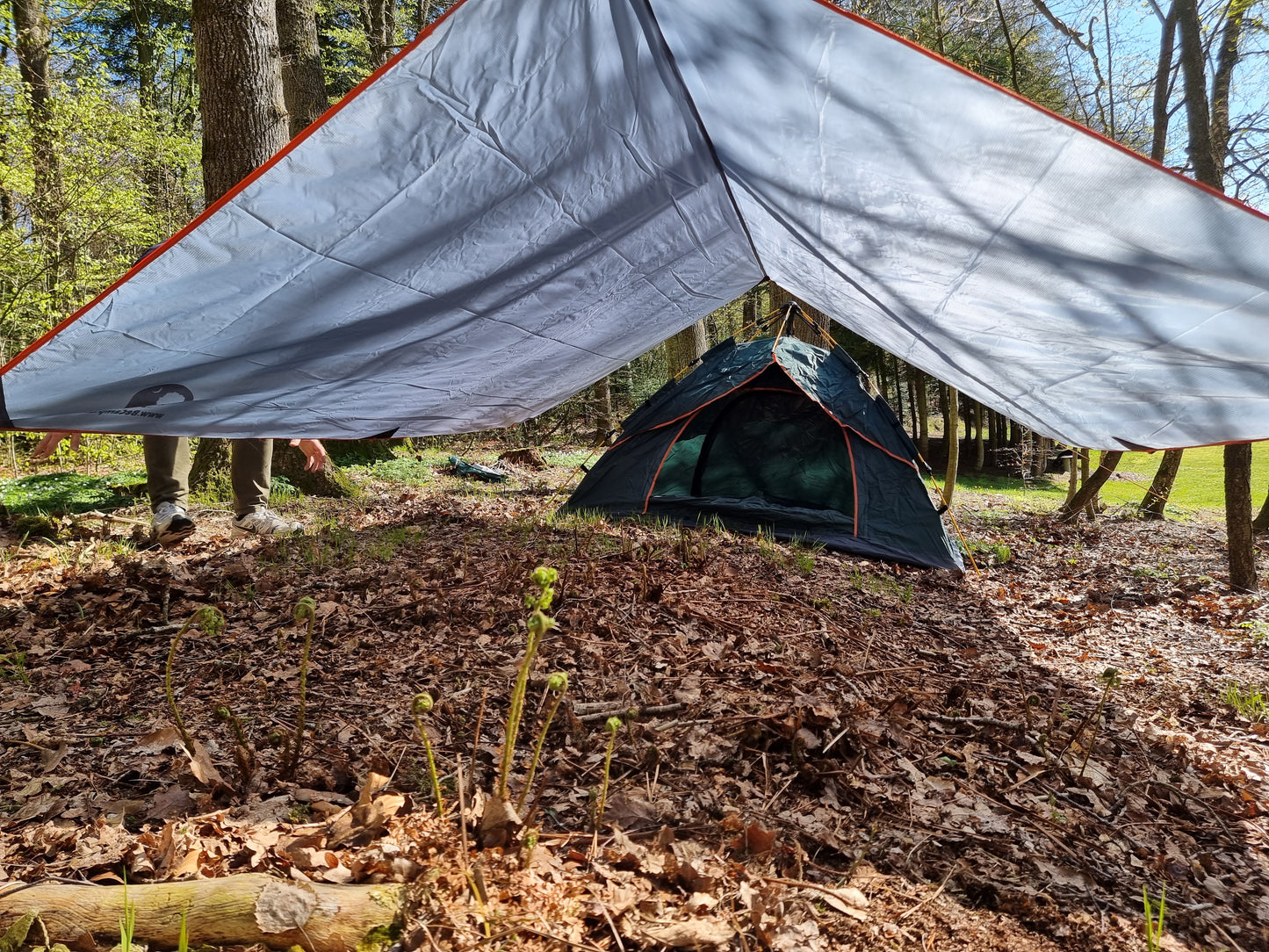 tent and tarp in forrest