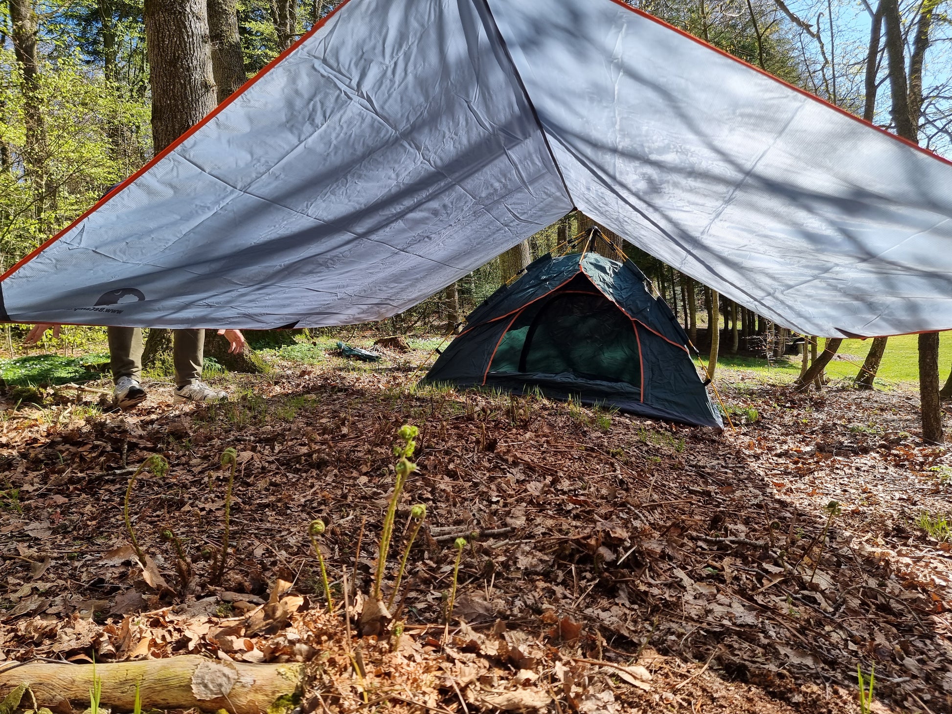 tent and tarp in forrest